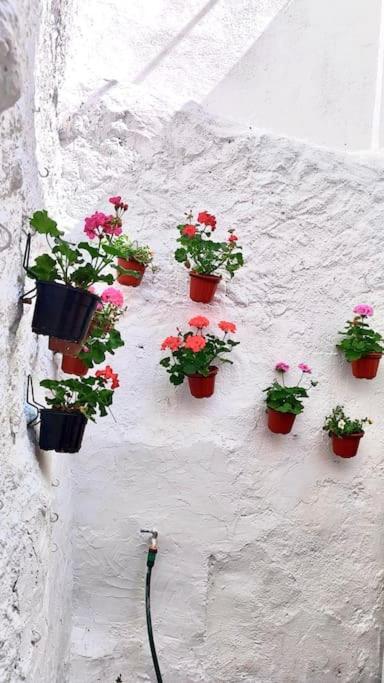 Vélez Blanco La Casa De Los Tiles מראה חיצוני תמונה